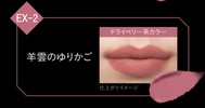 リプモン類似品