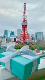 ♪ぬこ♪