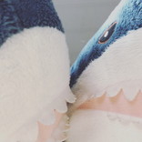 さめださめきち