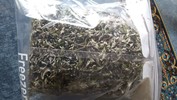 ヨモギ茶