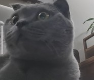 クムじゃん