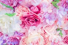 ハナ20さんプロフィール画像