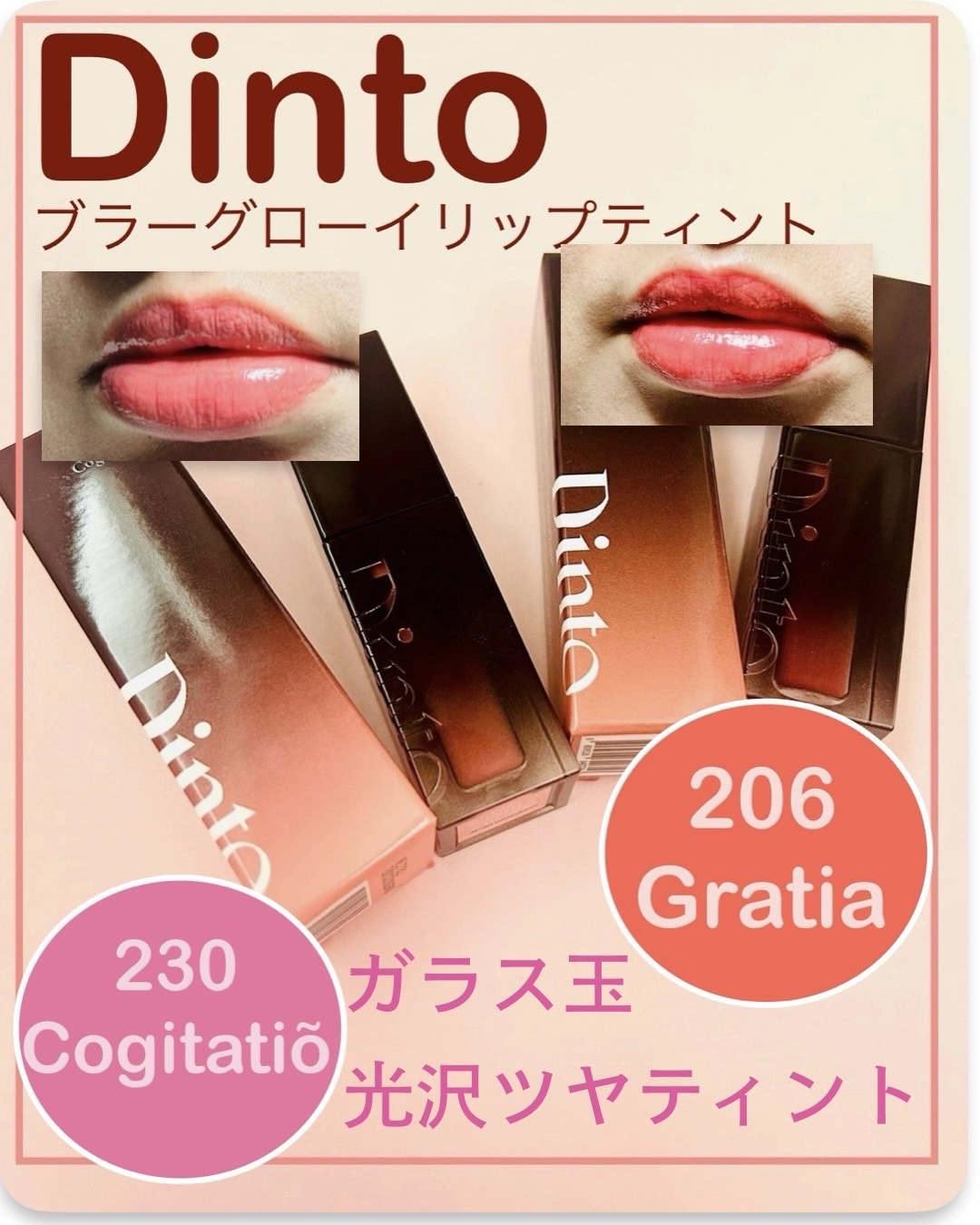 Dinto / ブラーグロイリップティント 206グラティアの公式商品