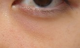 これは何クマでしょうか？