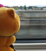 かぶれやすこさんプロフィール画像