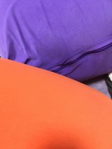 ぶよぎぼーさんプロフィール画像