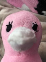 出来るあひるさんプロフィール画像
