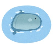 マンボウカーニバルさんプロフィール画像