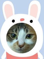 うずーず