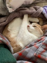 KK0223さんプロフィール画像