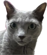 ちゃらの丸