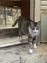 うさみみ333さんプロフィール画像