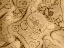 Maa＊°さんプロフィール画像