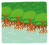 ポケットからマングローブさんプロフィール画像