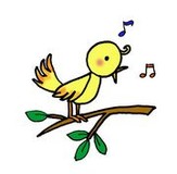 singbirdさんプロフィール画像