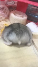 あや05075558