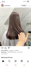 ブルベ夏