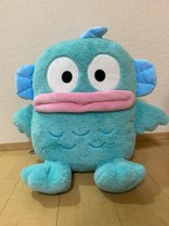 まなぎょどん