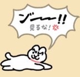 真坂23