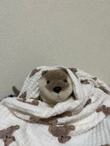 カワウソのうなぎさんプロフィール画像