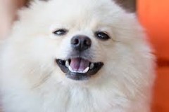 みぶゆさんプロフィール画像