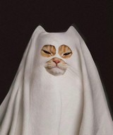 なじまげさんプロフィール画像