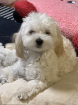 mika_0222