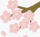 ぴんくのひらひらさんプロフィール画像