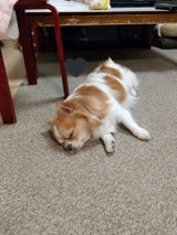 リューカさんプロフィール画像