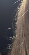 アホ毛、切れ毛に効く商品
