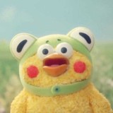 れんぴっピーさんプロフィール画像