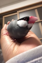 おゆり:]さんプロフィール画像