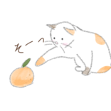 みかんねこ818