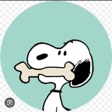 リコッタちゃんさんプロフィール画像
