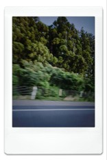 さばんかん