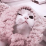 くらげ1724さんプロフィール画像
