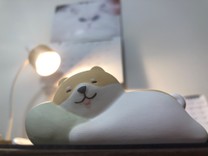 るるんco.｡o○