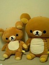よっち05