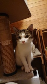 デラッちさんプロフィール画像