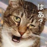 ぱぷりか★