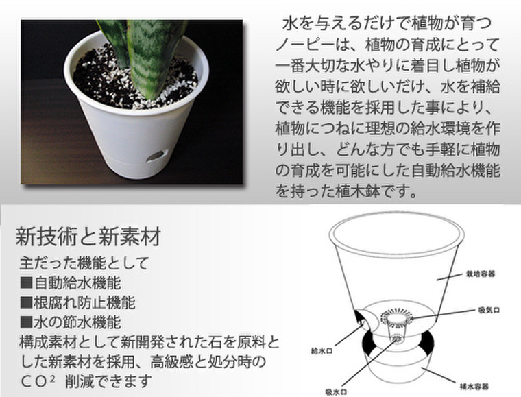 我が家の大ヒット品 旅行時にもこの鉢植えがあれば水やりの心配がいらないんだよ 綺麗なもの大好き りりかさんのブログ Cosme アットコスメ