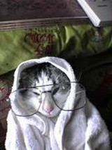 まるサボテンさんプロフィール画像