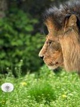 ジャスジャスさんプロフィール画像
