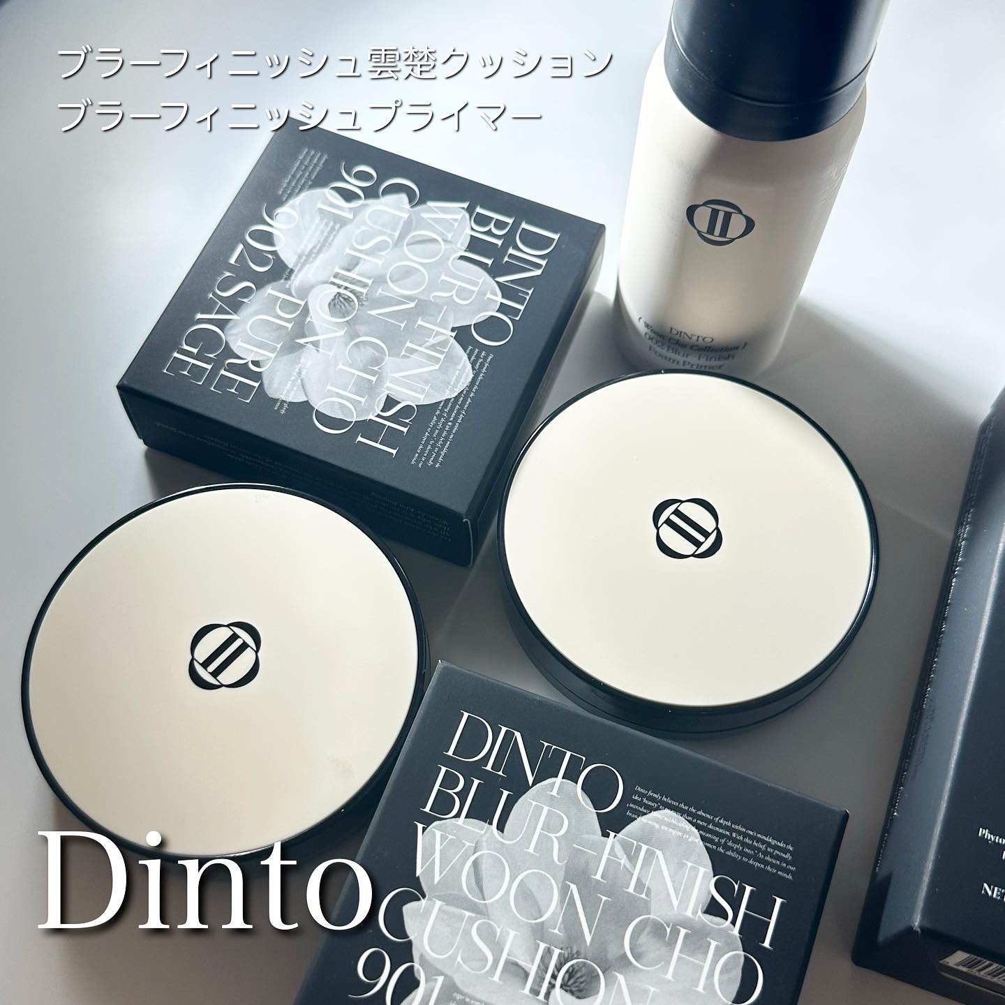 Dinto / ブラーフィニッシュ マットクッションファンデーションの