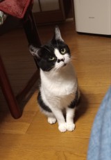 yumyummさんプロフィール画像