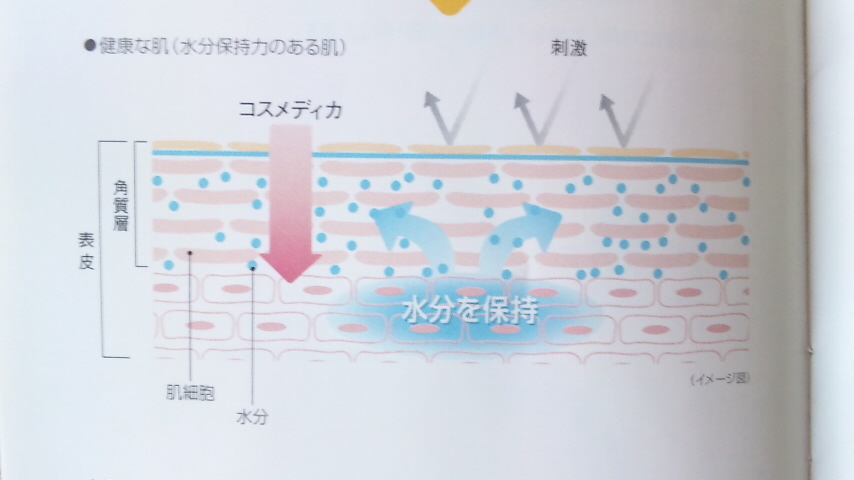 コスメディカ / エクストラモイストクリーム(旧)の公式商品情報