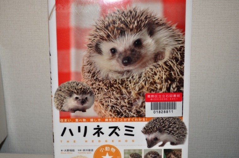 ハリネズミ 飼い方の本です 美容愛好家 さんのブログ Cosme アットコスメ ハリネズミ 飼い方の本です 美容愛好家 さんのブログ Cosme アットコスメ
