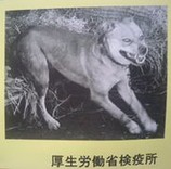 ルサンチ萬