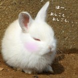 みゆ♪*。