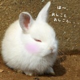 みゆ♪*。さんプロフィール画像